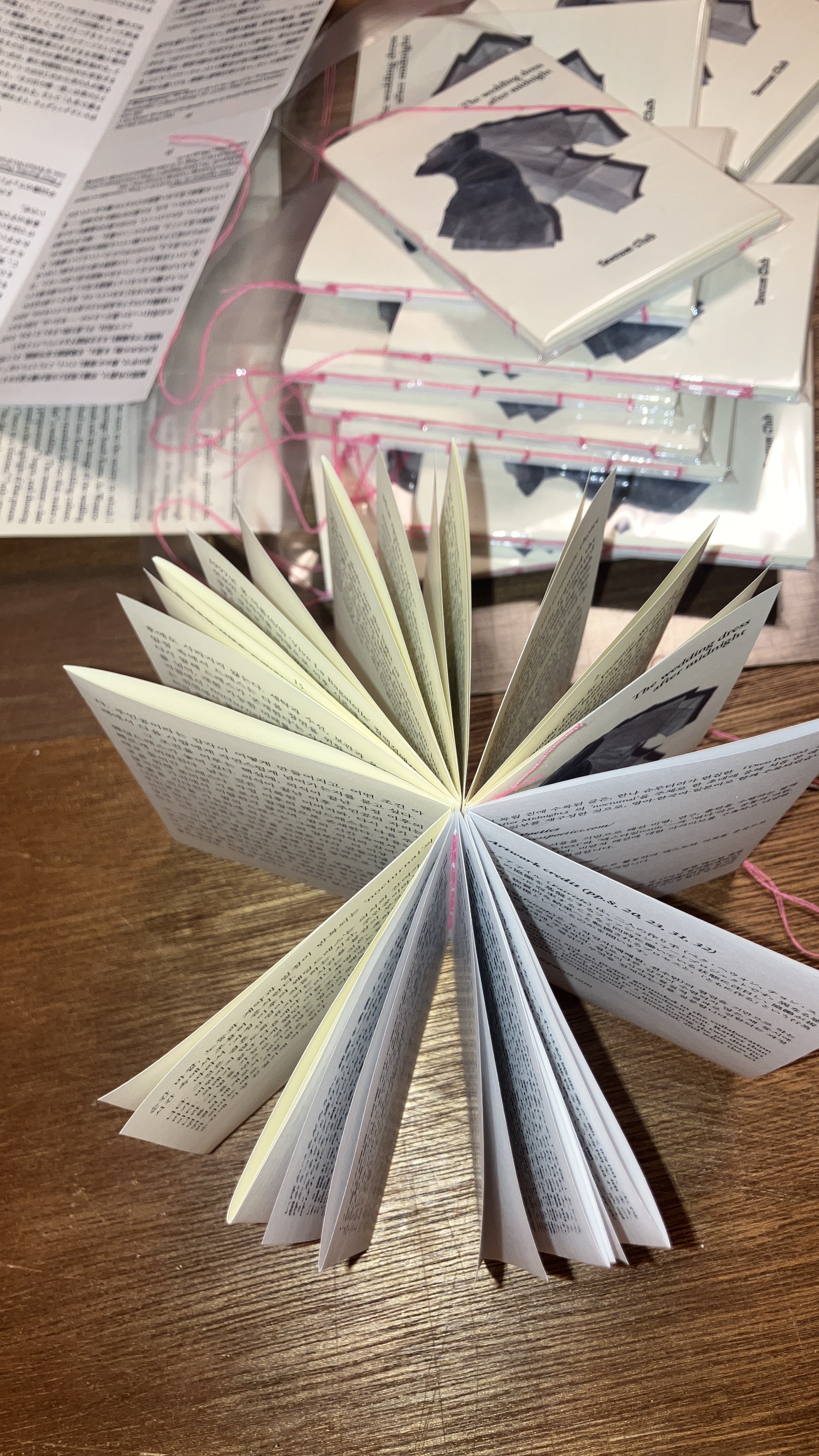 Tokyo Art Book Fair — publication image 1